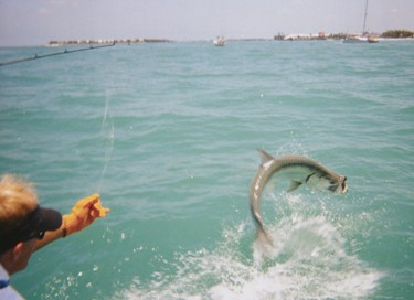 Tarpon fishing in Key West