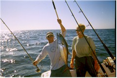 Key West light tackle fishing, Offshore fishing in Key West