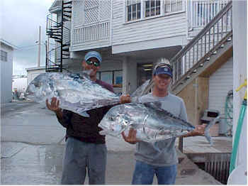 Reef and Wreck Fishing in the Florida Keys!